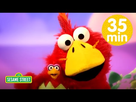 艾莫的動物歌曲與故事！🐧😺🐣 | 艾莫音樂劇精選集 (Animal Songs and Stories with Elmo!🐧😺🐣 | Elmo the Musical Compilation)