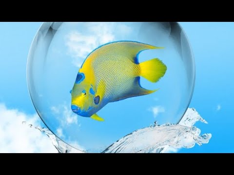 [FREE] NewScience x Poolboyz x Alarm Type Beat (prod. sleepingforyears)