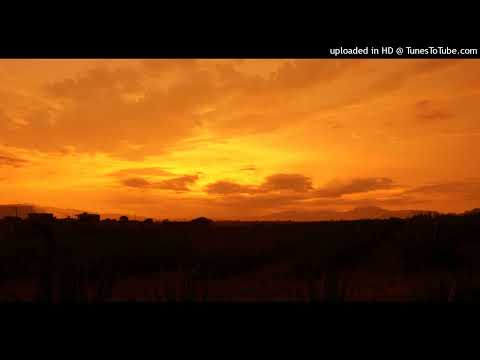 David Moufang - In/Out