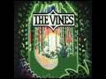 The Vines - Sunshinin 