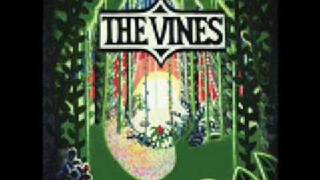 The Vines - Sunshinin