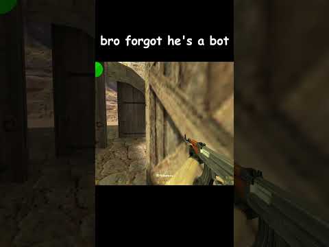 Are These Really Bots?!