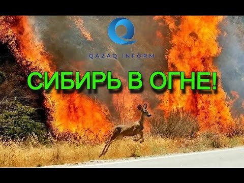 СИБИРЬ В ОГНЕ, КОНЕЦ РОССИИ!