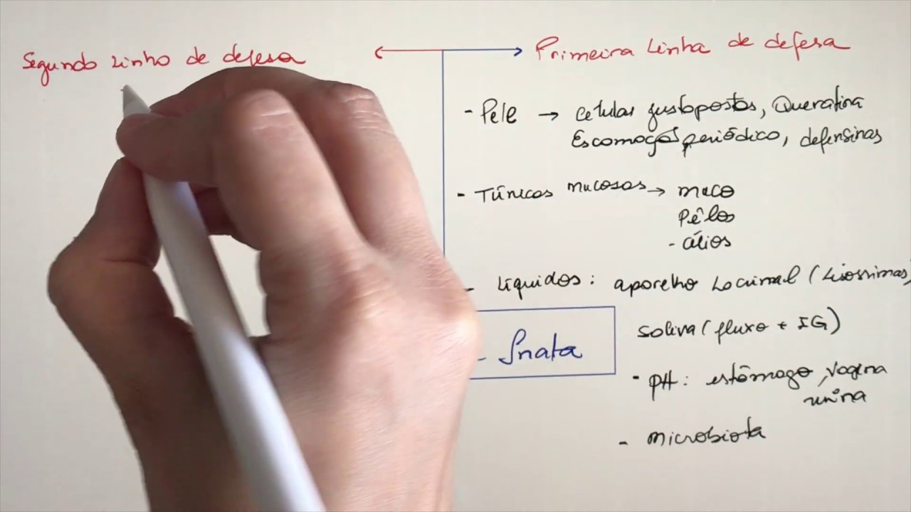 Imunologia - Mecanismos de agressão e defesa (Vídeo base)