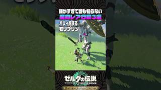 細かすぎて誰も知らない魔物レア行動3選【ゼルダの伝説 ティアキン】