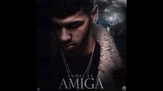 AMIGA--ANUEL AA