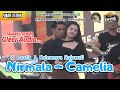 NIRMALA PUTRI CAMELIA LIVE GOTADA 23 RMB RANDUAGUNG LUMAJANG RAJAWALI JEMBER
