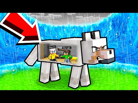 MEGA TSUNAMI contro BUNKER DENTRO un CANE in Minecraft!
