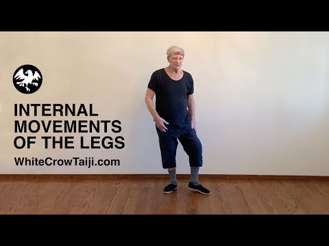 INTERNAL MOVEMENTS OF THE LEGS. By Robert Amacker