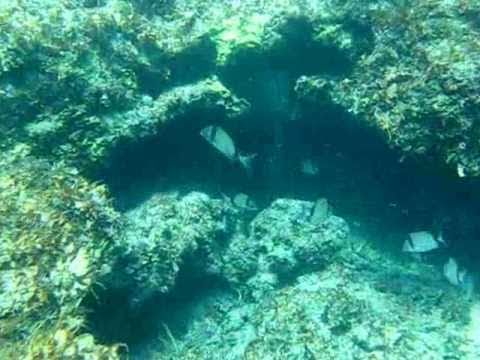 Diving: Snorkeling at Sa Ràpita, Mallorca, Spain VIDEOSUB