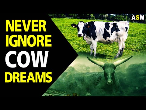 What does Cow dream meaning | Cow Dream interpretation | Dreaming of Cow