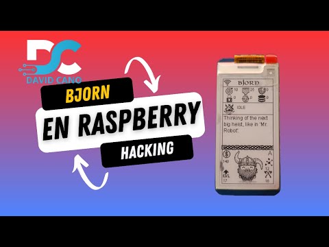 BJORN en Raspberry Pi: escaneo de vulnerabilidades automático