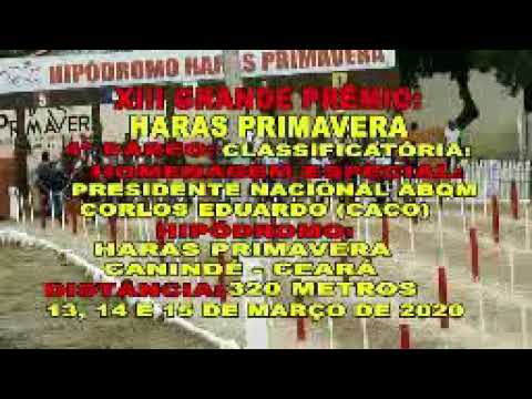 4 Páreo Clas Xlll GP Haras Primavera Canindé Ceará 14 e 15 de Março de 2020