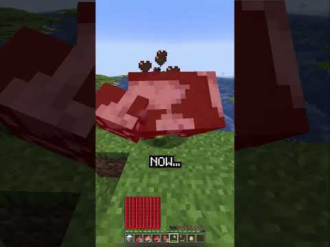 Minecraft, But I Am MADE Of Hearts...