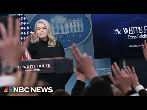 White House questioned on characterization of Minneapolis shooting at press briefing