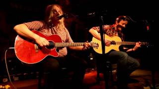 The Bevis Frond - Lights Are Changing