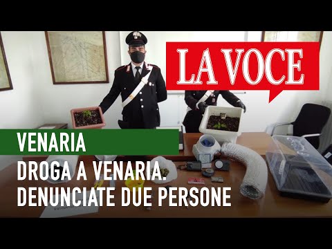 Droga a Venaria. Denunciate due persone #venaria #droga
