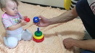 We collect the pyramid in 11 months. TOY