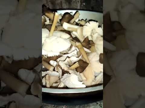 How to cook wild mushroom