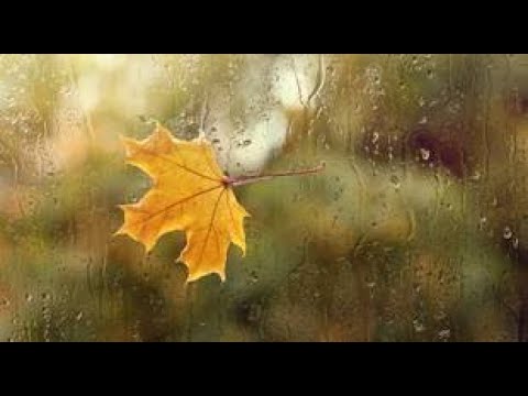 3-Tage-Wetter: Polarluft, Regen, Wind! Jetzt überall Voll-Herbst