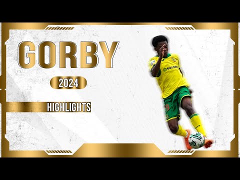 GORBY - BOX TO BOX - DEF. MIDFIELDER - PAÇOS DE FERREIRA - PT - 2024