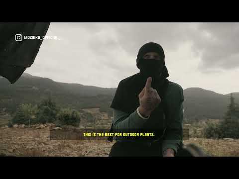 МАРОККО И МАРОККАНСКИЙ ГАШИШ | MOROCCO AND MOROCCAN HASHISH