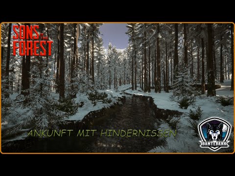 Ankunft mit Hindernissen ♣ Sons of the Forest ♣ Gameplay German ♣ Dante Dark