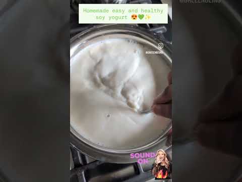 Homemade Soy Yogurt