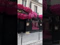 Pink Paradise Disco Paris Parisianstyle