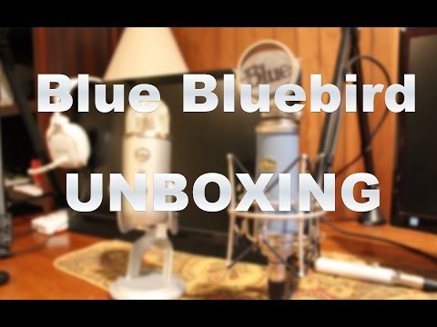 Blue Microphones Bluebird (Original Version) Large-Diaphragm Condenser Mic w/ Case image 7