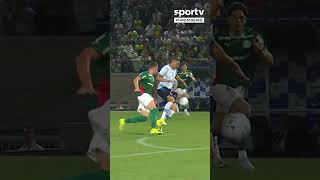 OS GOLS DA VITÓRIA DO PALMEIRAS SOBRE O GRÊMIO, PELO BRASILEIRÃO!