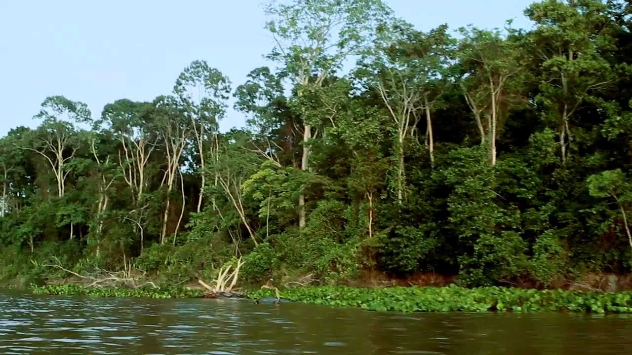 Atravessando o Amazonas
