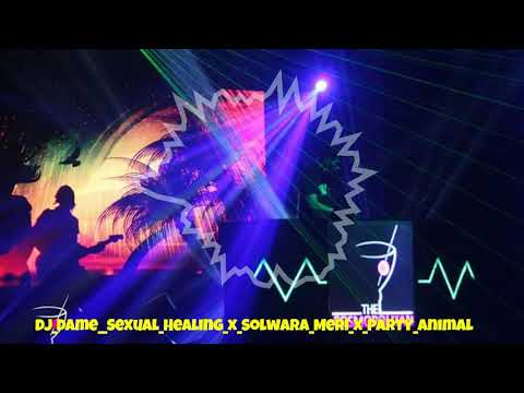 DJ DAME - SOLWARA MERI X SEXUAL HEALING X PARTY ANIMAL