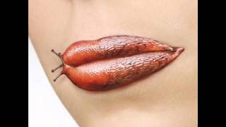 Plafone - Elio e Le Storie Tese