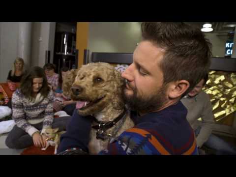 Behind The Scenes - 30 Homeless Pets and 1 Holiday Feast | Freshpet.