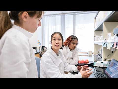 Scientists Test 100s of Drugs on Organoids to Find How to Beat ...