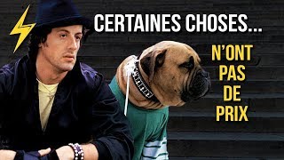 J’AI DU VENDRE MON CHIEN