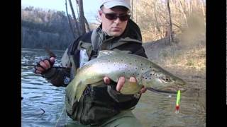 Wobler Rapala X-Rap 06_G
