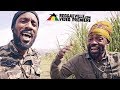 Alfray Lutan Fyah Sell Out Official Video 2018