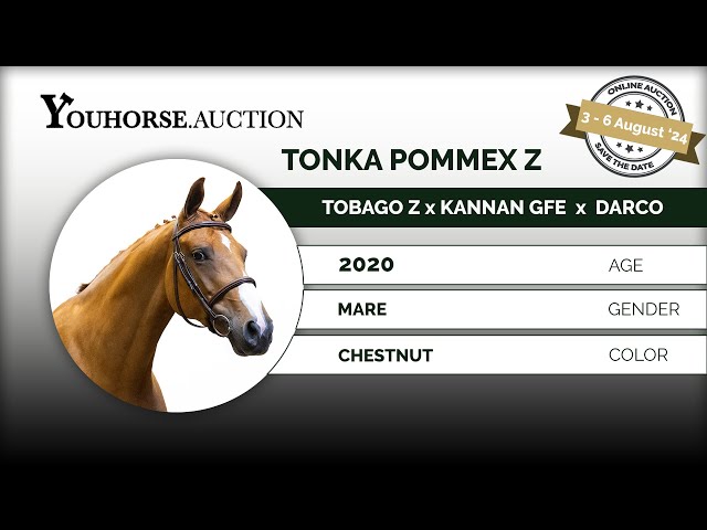 Tonka Pommex Z