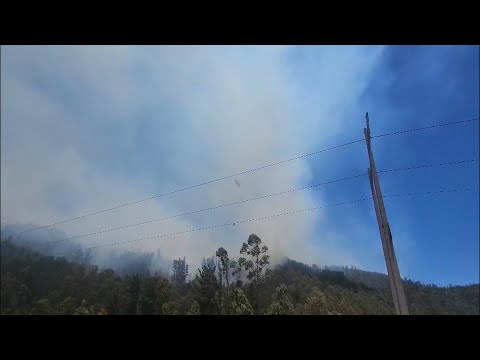 Alerta roja por incendio forestal a metros de viviendas en Constitución | 24 Horas TVN - Red Maule