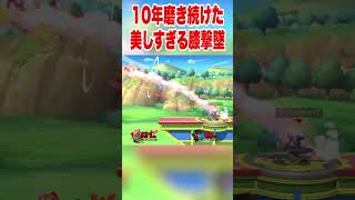 10年間磨き続けた美しすぎる膝撃墜 #スマブラsp