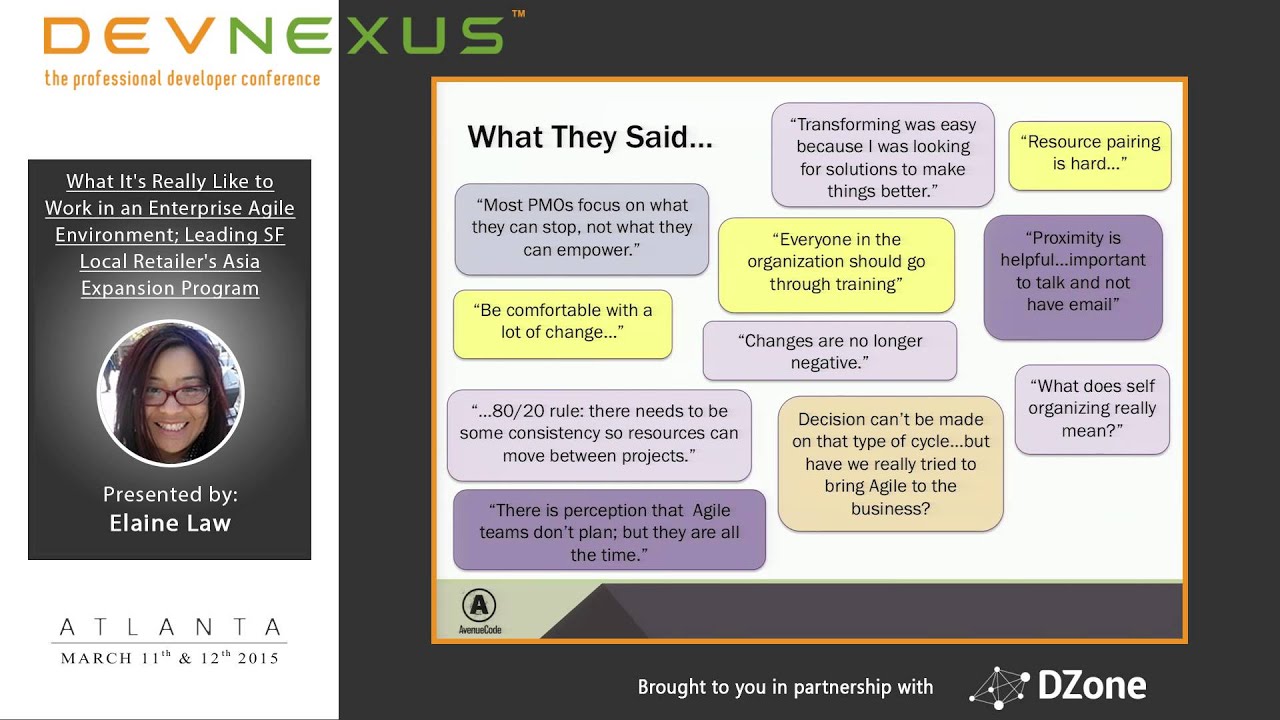 Devnexus 2015 - What It's Really Like to Work in an Enterprise Agile Environment - Elaine Law