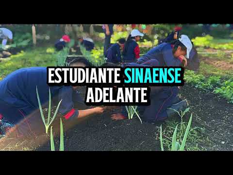 HIMNO IE SINAÍ ARGELIA CAUCA