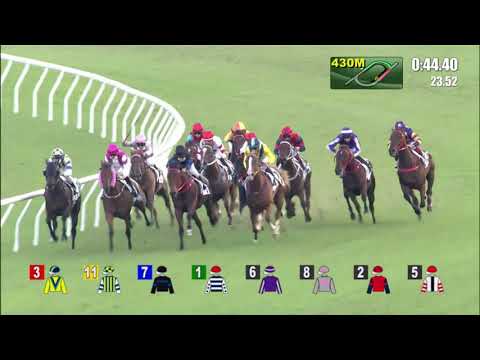 13/11/2021 (176) The Golden Scenery - K Teetan