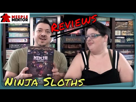 Meeple Mentor Reviews Ninja Sloths & Sorcerer's Expansion