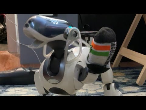 Aibo ERS-7 Dances To Sky Station 2 - Super Mario Galaxy 2