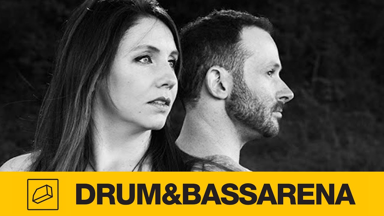 Quadrant & Iris - Cold Brew