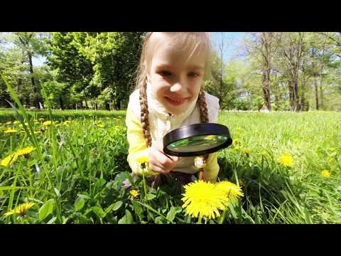 Dankbarkeit - Inspiration und Motivation für ein glückliches Leben | Darius Kamadeva