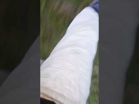 Lucija i Miško su se izgubili (Ja sam ih 3 sata tražio)